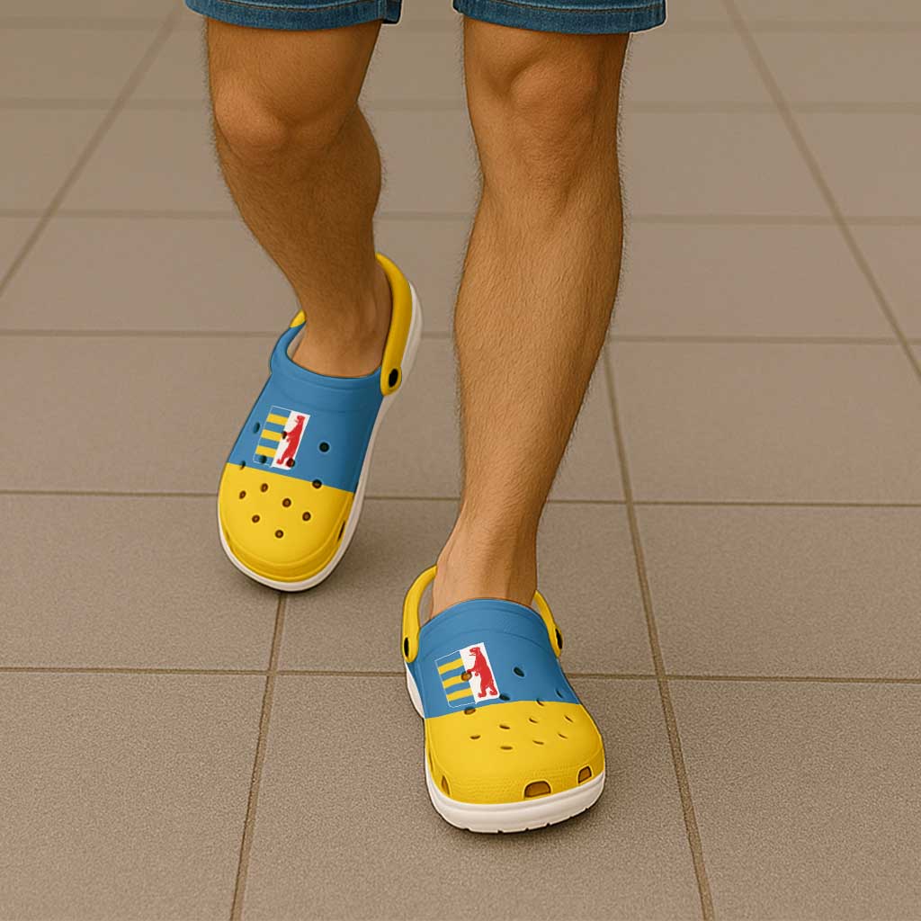 Ukraine Zakarpattia Oblast Clogs Shoes Flag Color Inspiration