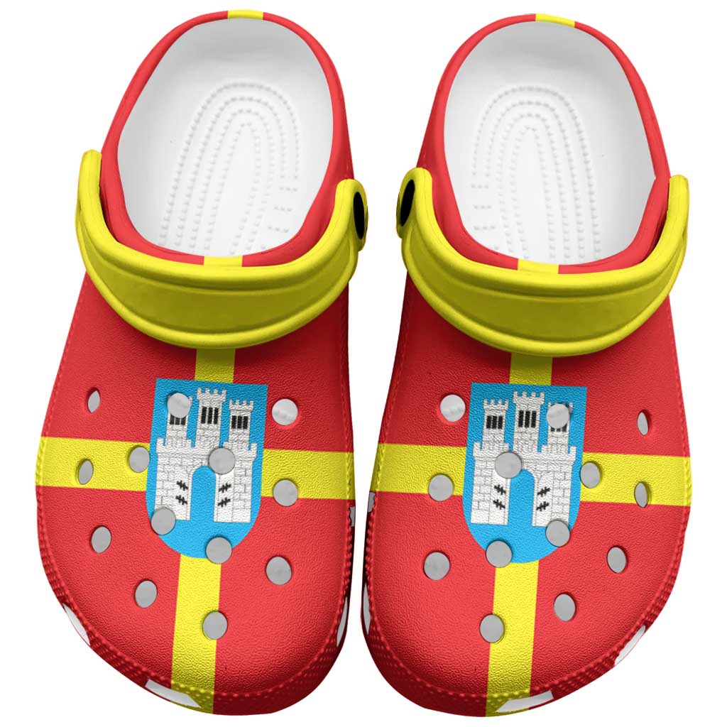 Ukraine Zhytomyr Oblast Clogs Shoes Flag Color Inspiration