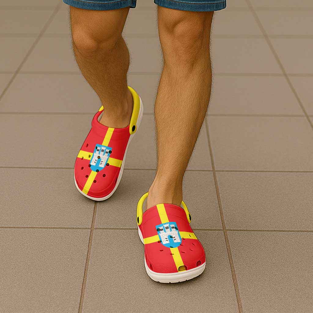 Ukraine Zhytomyr Oblast Clogs Shoes Flag Color Inspiration