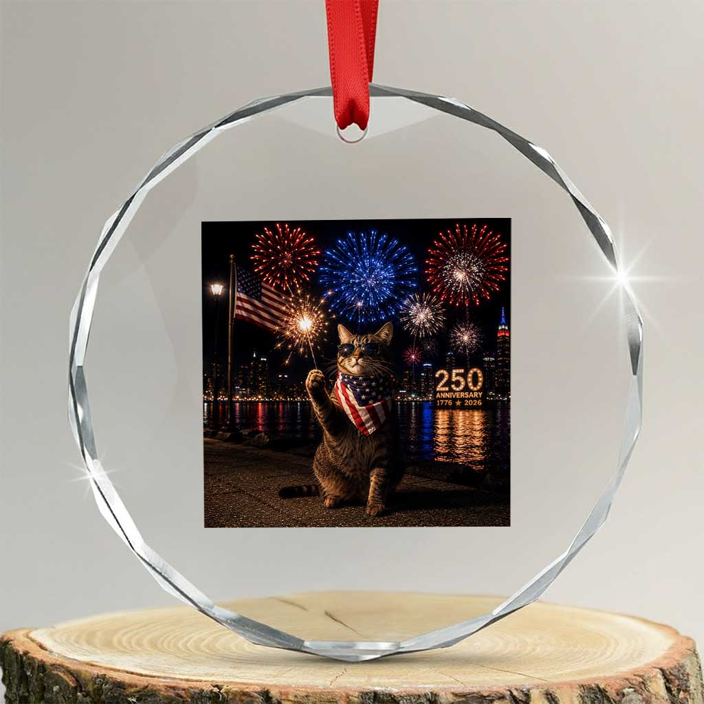 USA 250th Anniversary Cat Crystal Glass Ornament Funny 4th Of July Independence Day 250 Years 1776 2026 Patriotic Celebration Meme