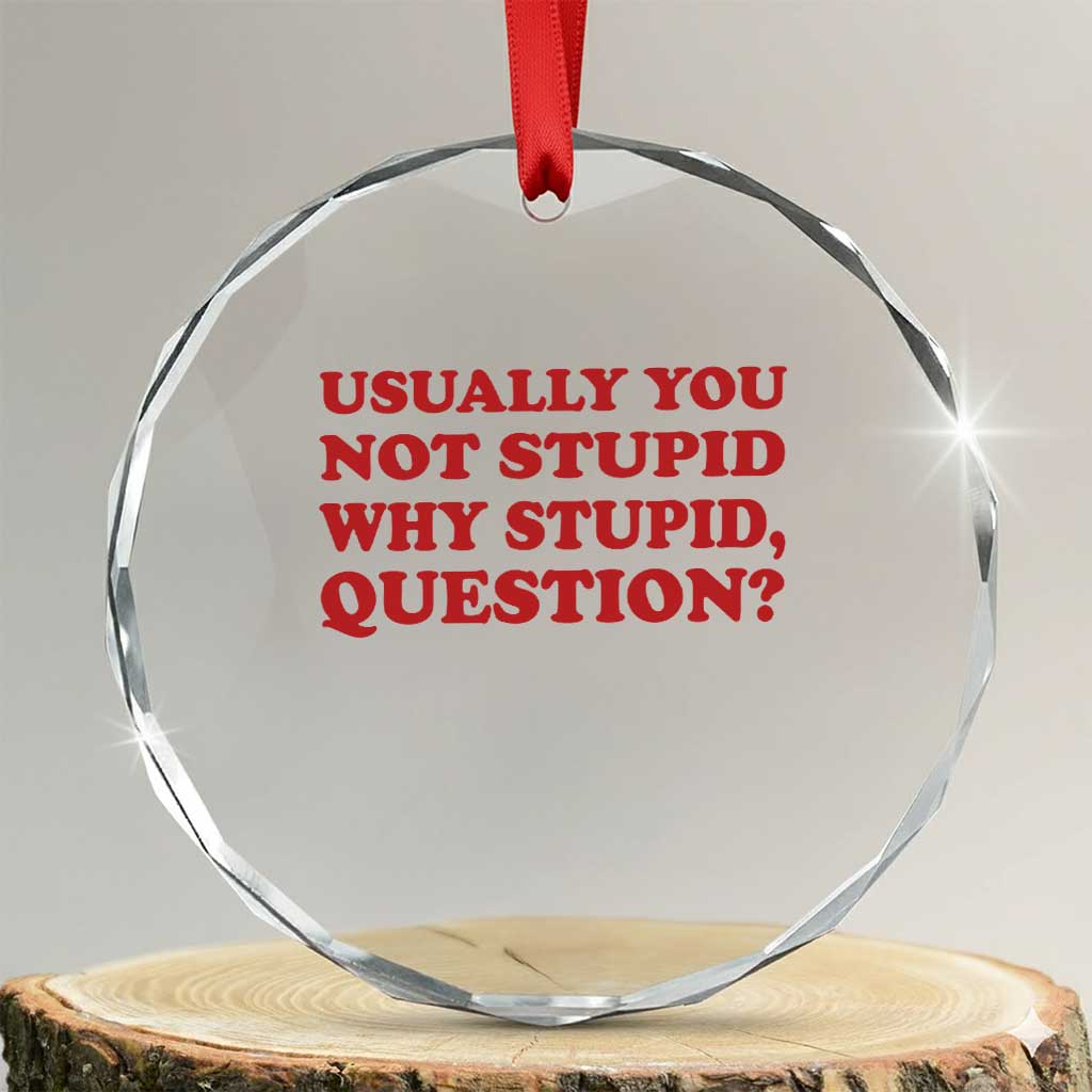 Usually You Not Stupid Why Stupid Question Crystal Glass Ornament Funny Space Quote Sci Fi Book