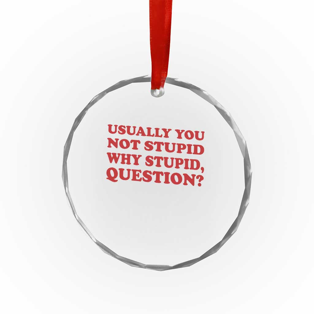 Usually You Not Stupid Why Stupid Question Crystal Glass Ornament Funny Space Quote Sci Fi Book