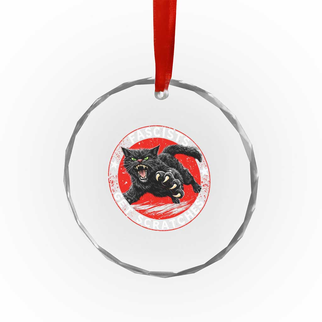 Vintage Black Cat Against Fascists Crystal Glass Ornament