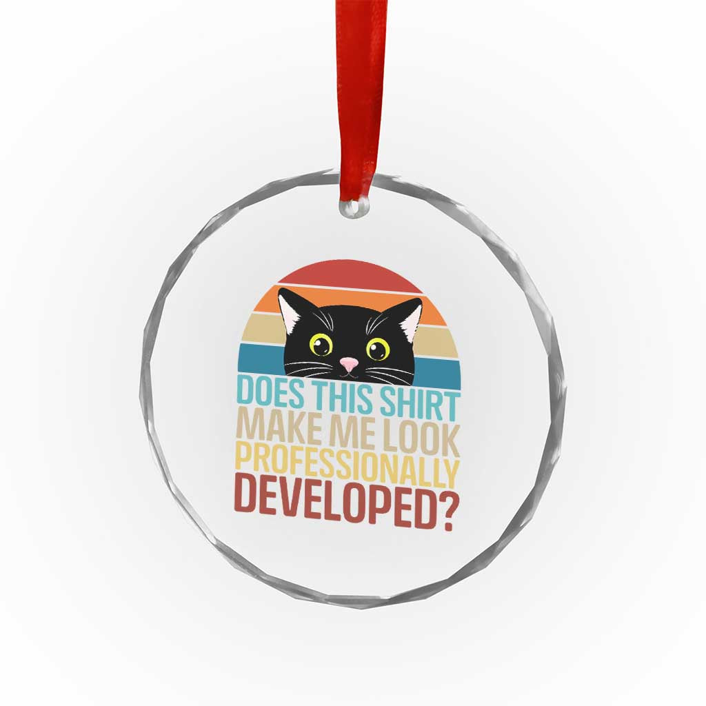 Vintage Black Cat Crystal Glass Ornament Does This Shirt Make Me Look Professionally Developed