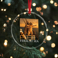 Vintage Feral At Sea Cruise Crystal Glass Ornament Funny Raccoon Parody Movie