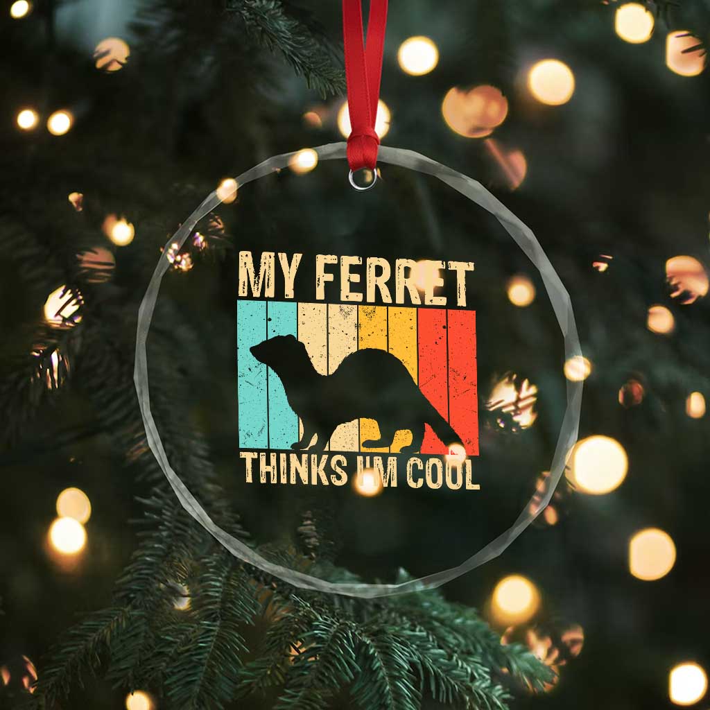 Vintage My Ferret Thinks I Am Cool Crystal Glass Ornament Ferret Dad Gift