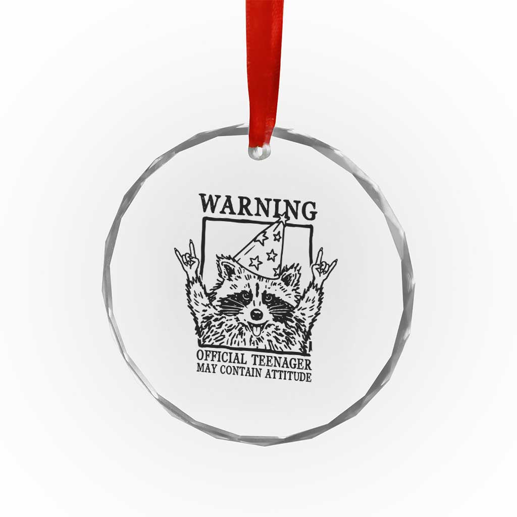 Vintage Raccoon 13th Birthday Crystal Glass Ornament 13 Year Old Official Teenager Gifts