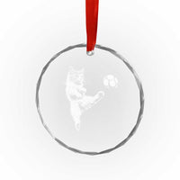 Vintage Sketch Soccer Cat Graphic Crystal Glass Ornament Kitten Kicking Football Sports Lover