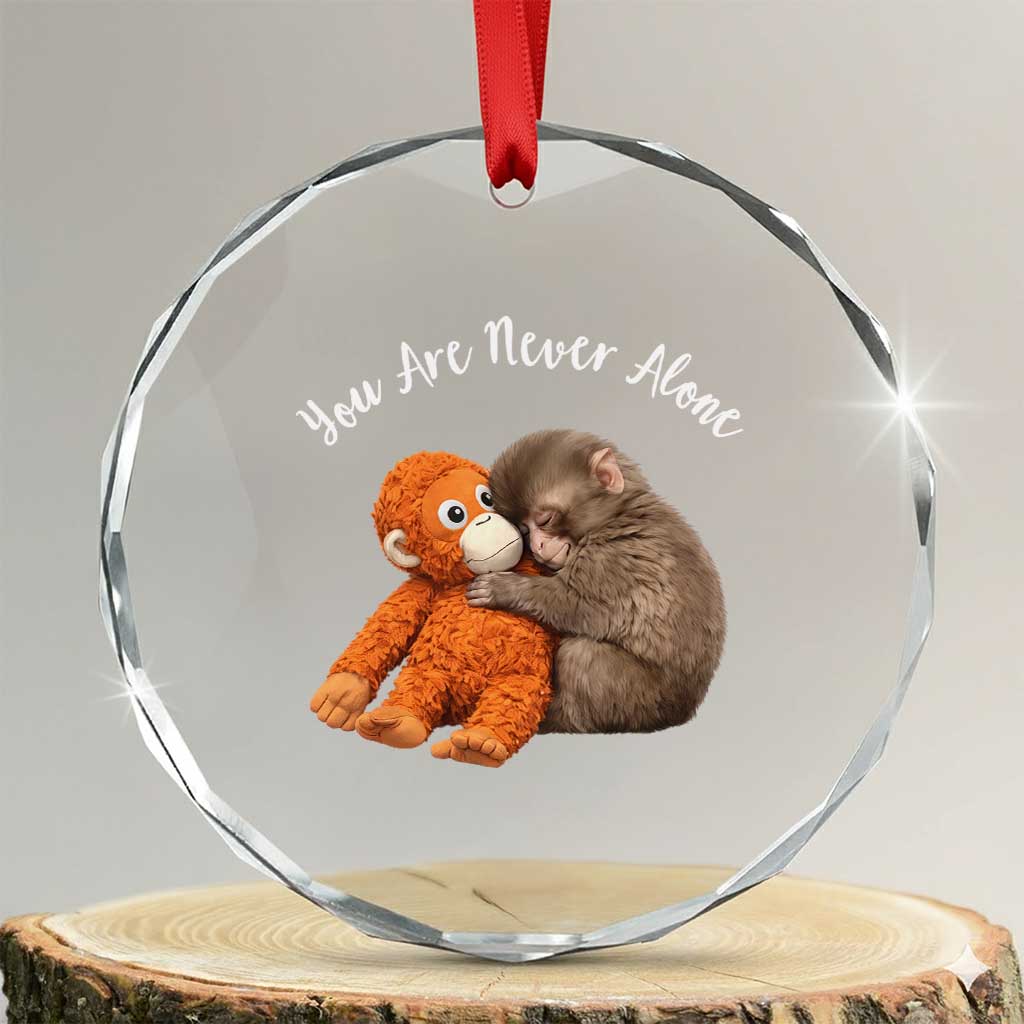 Viral Punch Monkey Crystal Glass Ornament Cute Baby Monkey With Plush Toy Animal Lovers