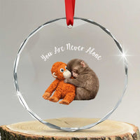 Viral Punch Monkey Crystal Glass Ornament Cute Baby Monkey With Plush Toy Animal Lovers