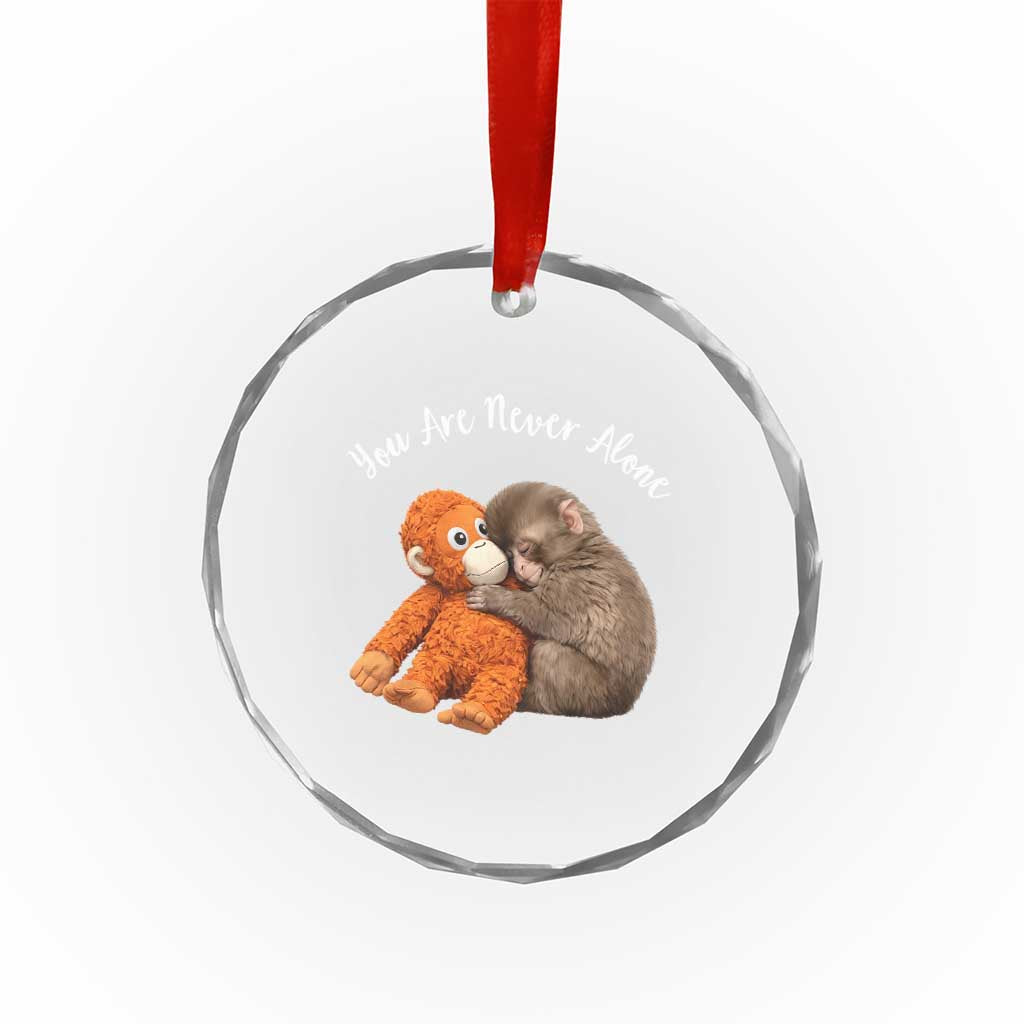 Viral Punch Monkey Crystal Glass Ornament Cute Baby Monkey With Plush Toy Animal Lovers