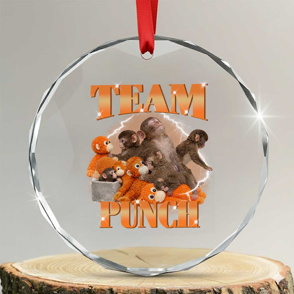 Viral Punch Monkey Crystal Glass Ornament Cute Baby Monkey With Plush Toy Meme