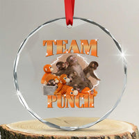 Viral Punch Monkey Crystal Glass Ornament Cute Baby Monkey With Plush Toy Meme