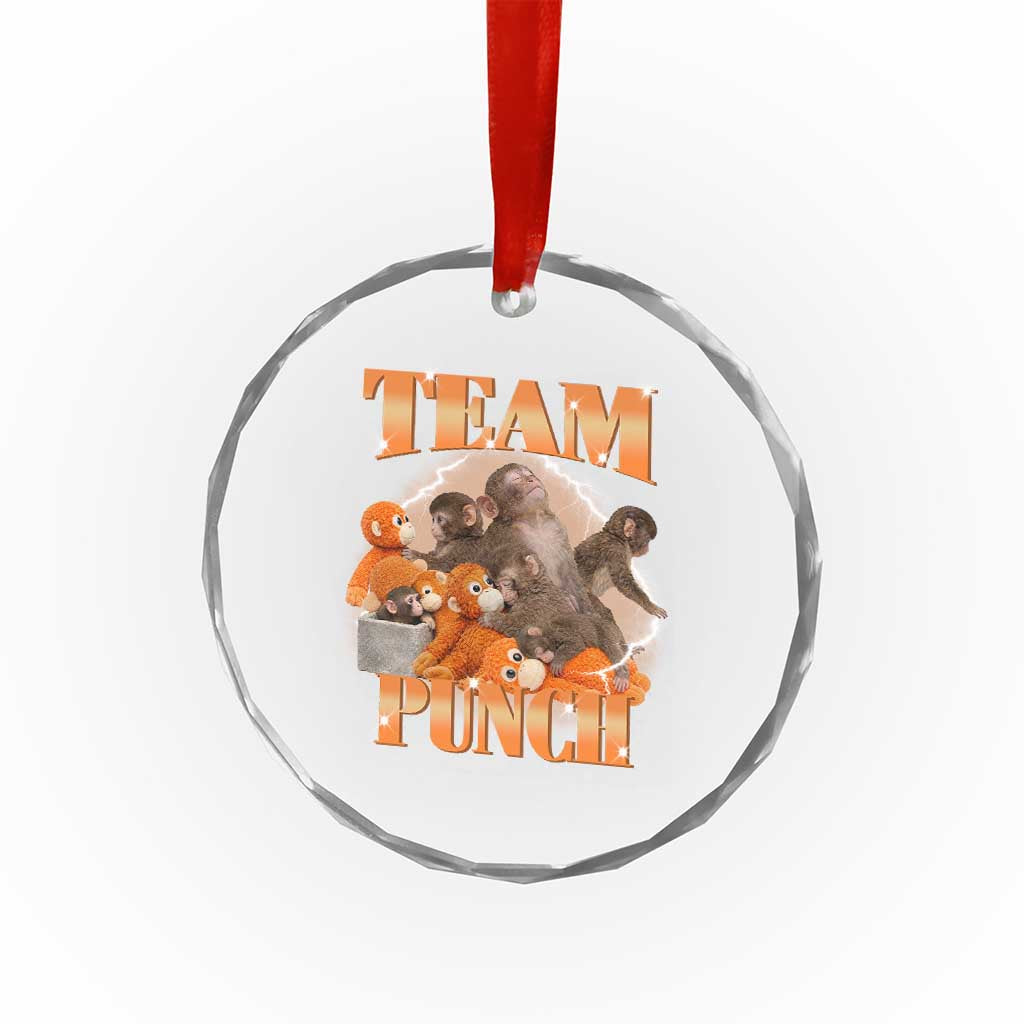 Viral Punch Monkey Crystal Glass Ornament Cute Baby Monkey With Plush Toy Meme