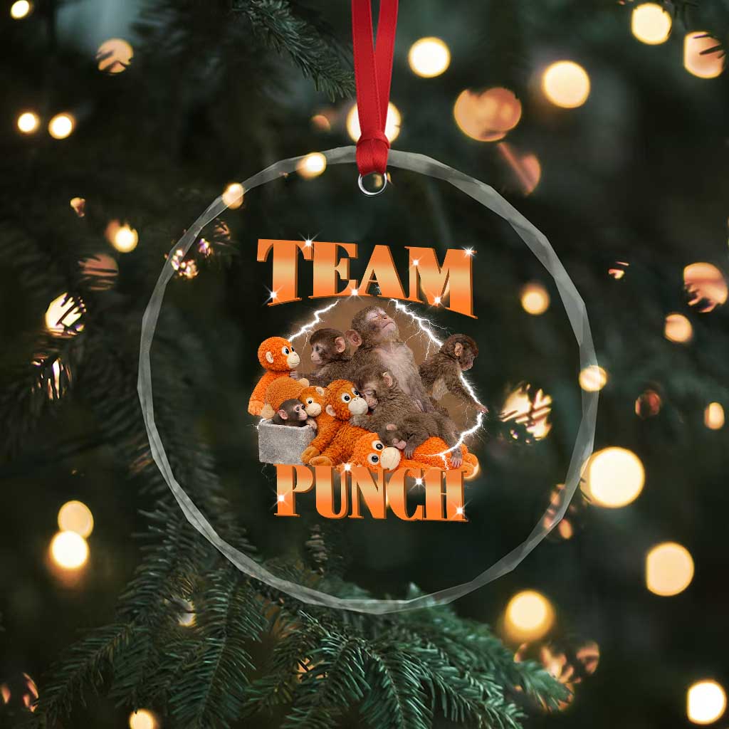 Viral Punch Monkey Crystal Glass Ornament Cute Baby Monkey With Plush Toy Meme