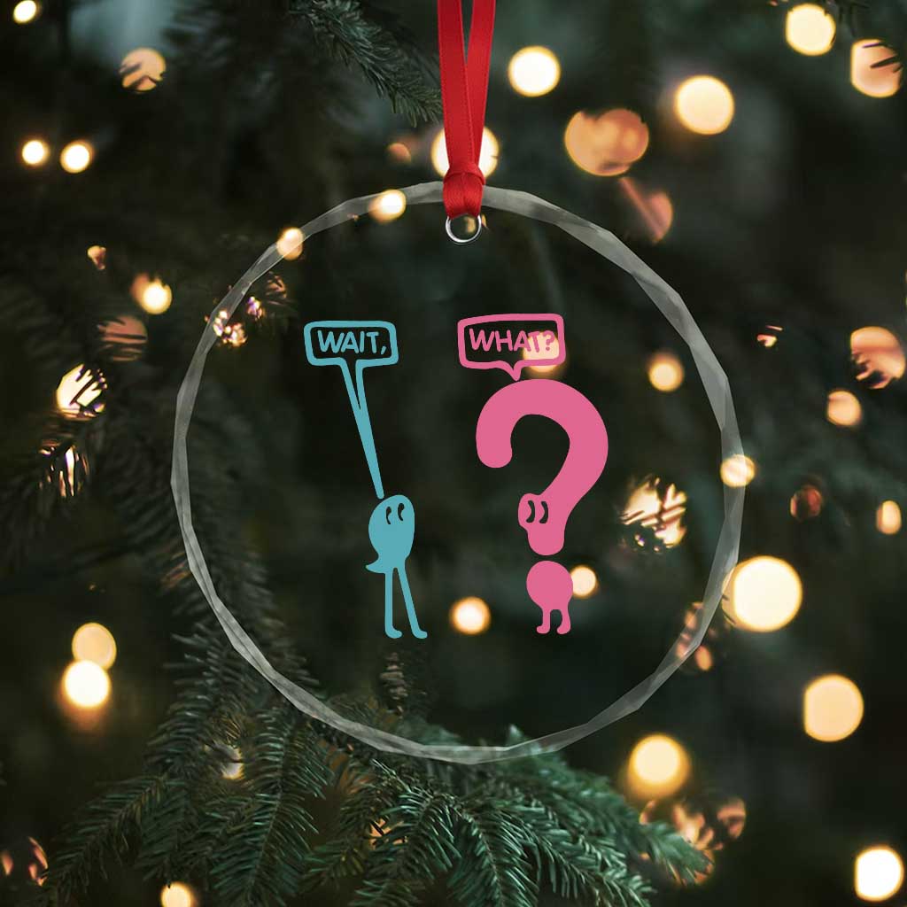 Wait What Grammar English Teacher Crystal Glass Ornament Funny Punctuation Gift