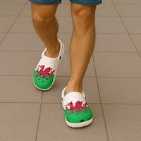Wales Clogs Shoes Flag Color Inspiration - Wonder Print Shop