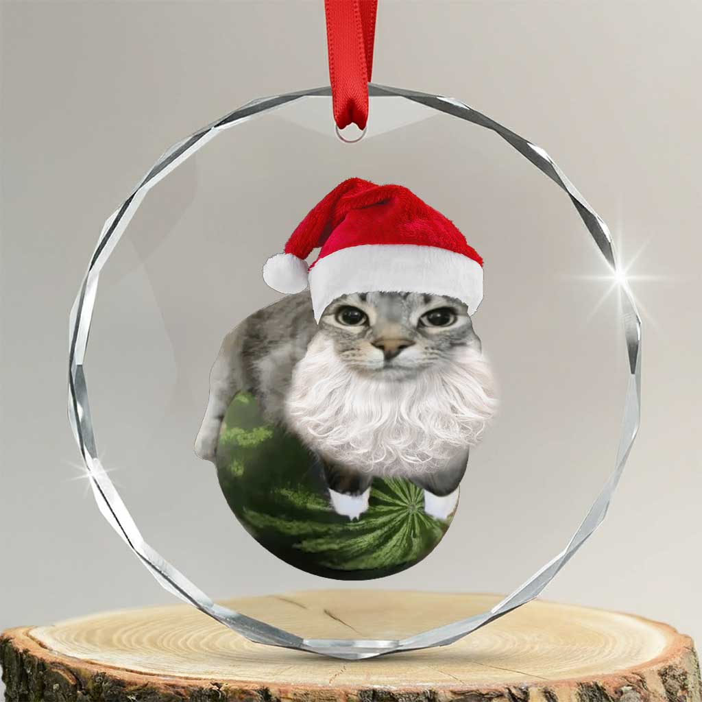 Watermelon Cat Christmas Crystal Glass Ornament Funny Silly Kitten Meme - Wonder Print Shop