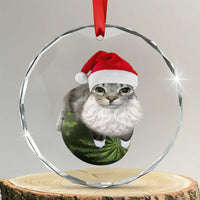 Watermelon Cat Christmas Crystal Glass Ornament Funny Silly Kitten Meme - Wonder Print Shop