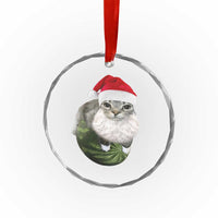 Watermelon Cat Christmas Crystal Glass Ornament Funny Silly Kitten Meme - Wonder Print Shop