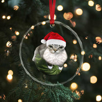 Watermelon Cat Christmas Crystal Glass Ornament Funny Silly Kitten Meme - Wonder Print Shop