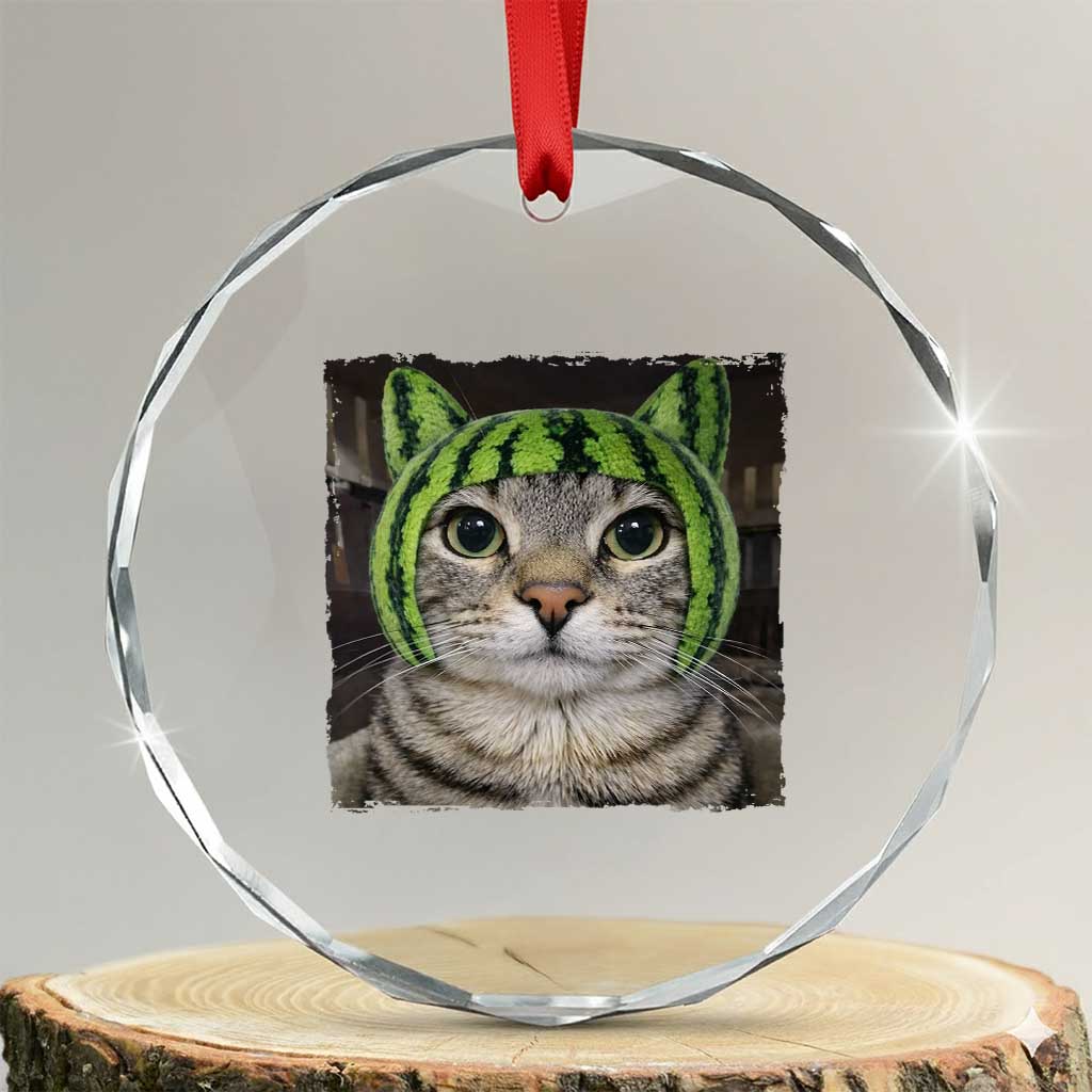 Watermelon Cat Silly Cat Meme Crystal Glass Ornament