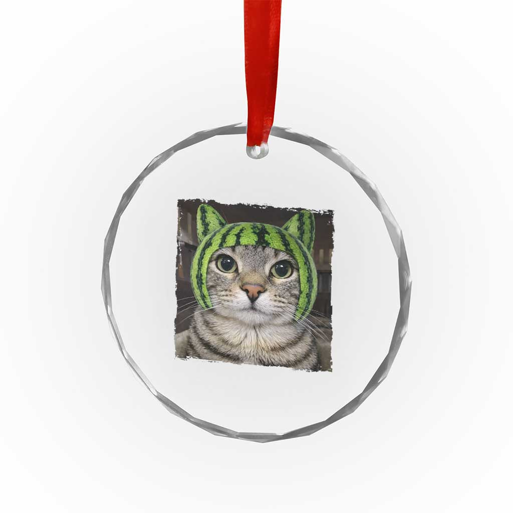 Watermelon Cat Silly Cat Meme Crystal Glass Ornament