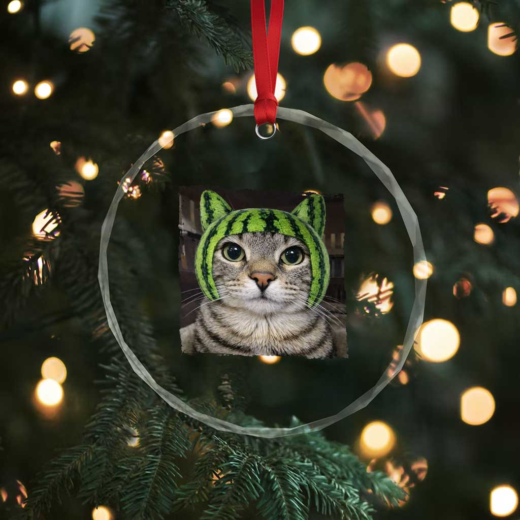Watermelon Cat Silly Cat Meme Crystal Glass Ornament