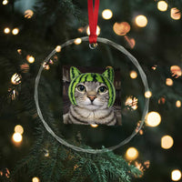 Watermelon Cat Silly Cat Meme Crystal Glass Ornament
