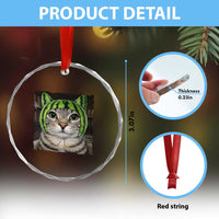 Watermelon Cat Silly Cat Meme Crystal Glass Ornament