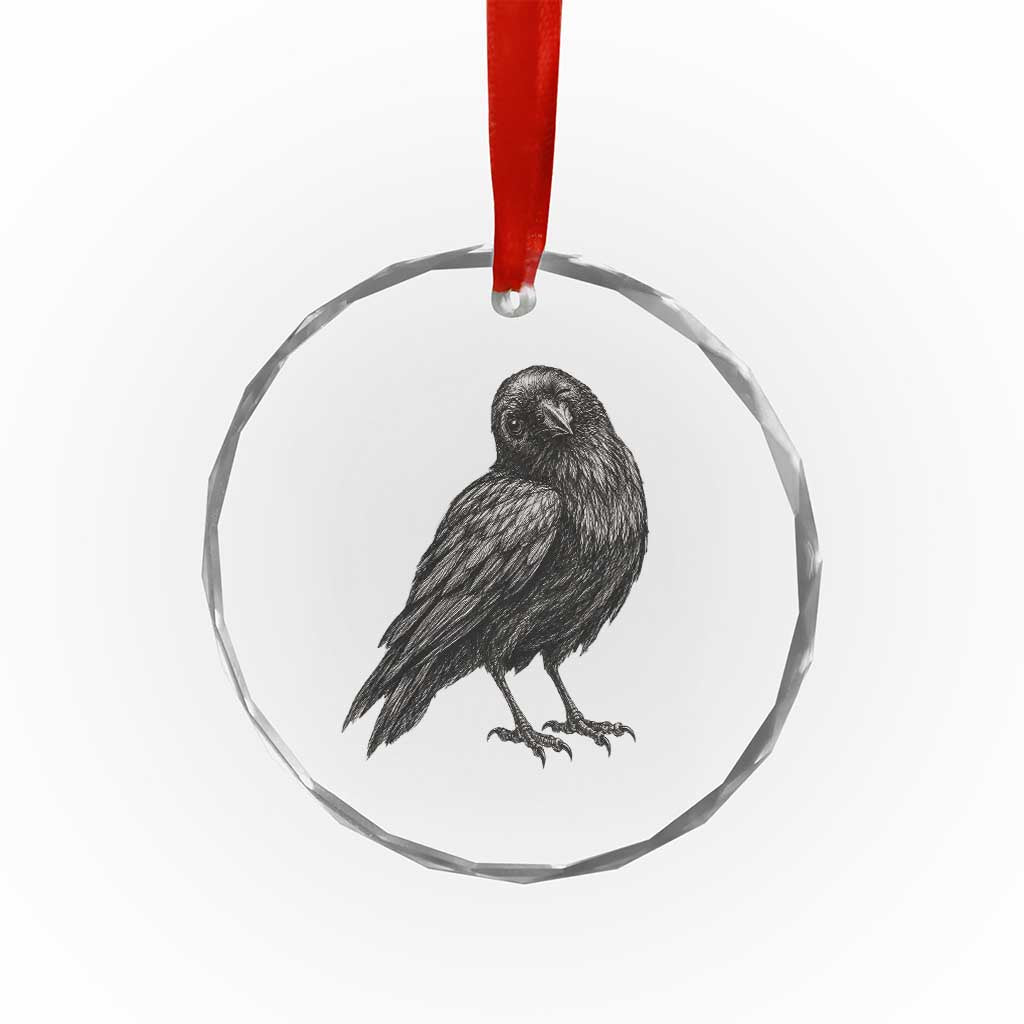 Winking Raven Crow Crystal Glass Ornament Vintage Dark Academia Funny Bird Graphic