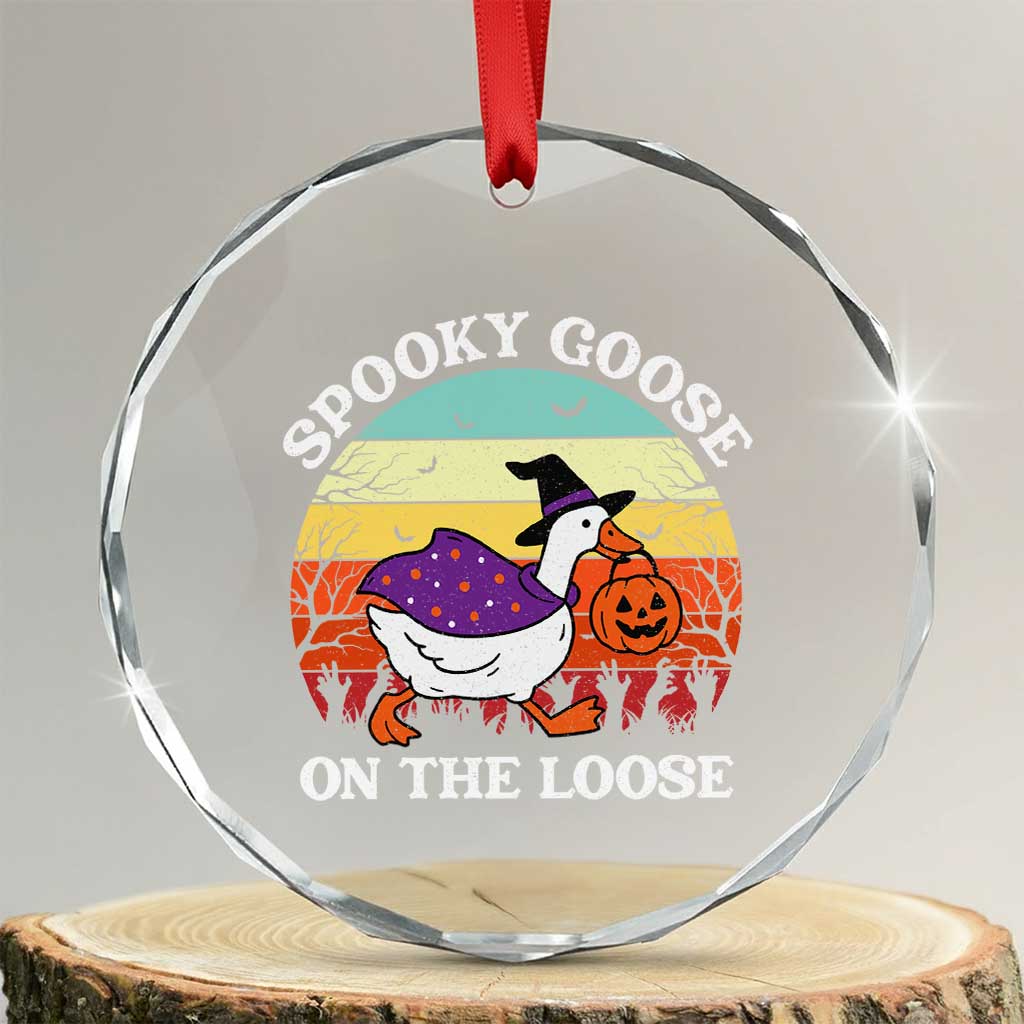 Witchy Silly Goose Crystal Glass Ornament Retro Girly Halloween Spooky Goose Lover TS10