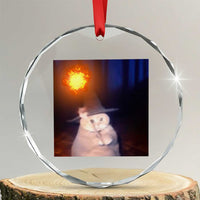 Wizard Cat Crystal Glass Ornament Weird Funny Retro Halloween Orange Cat Meme TS10
