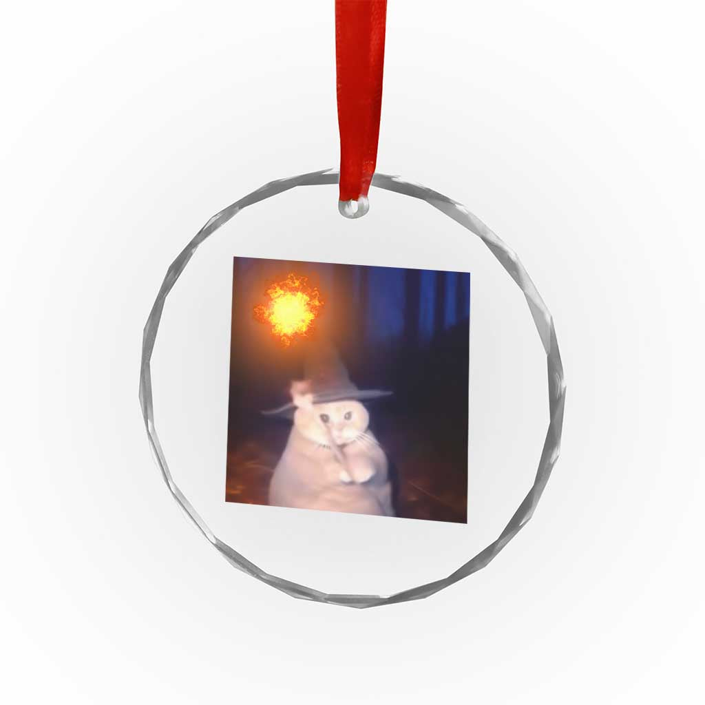 Wizard Cat Crystal Glass Ornament Weird Funny Retro Halloween Orange Cat Meme TS10