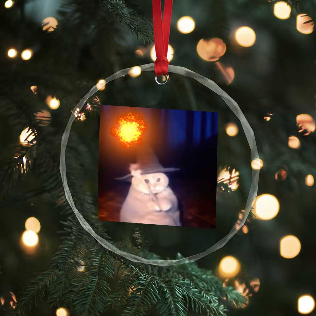 Wizard Cat Crystal Glass Ornament Weird Funny Retro Halloween Orange Cat Meme TS10
