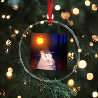 Wizard Cat Crystal Glass Ornament Weird Funny Retro Halloween Orange Cat Meme TS10