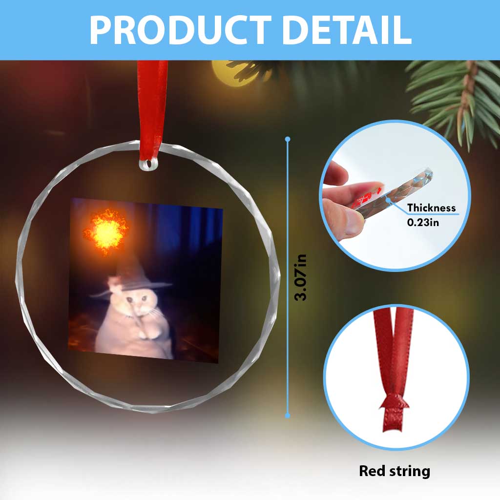 Wizard Cat Crystal Glass Ornament Weird Funny Retro Halloween Orange Cat Meme TS10