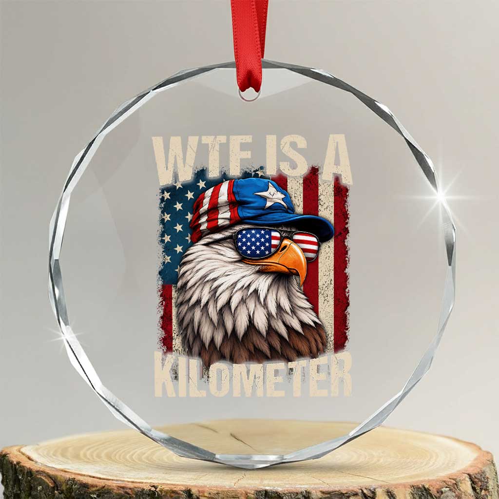 WTF Is A Kilometer Crystal Glass Ornament Bald Eagle 4th of July Funny USA Patriotic