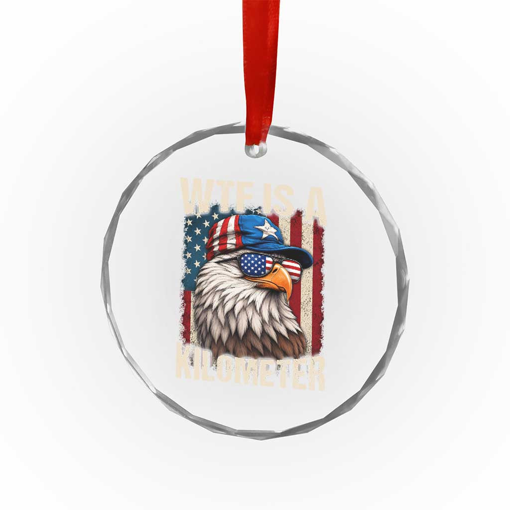 WTF Is A Kilometer Crystal Glass Ornament Bald Eagle 4th of July Funny USA Patriotic