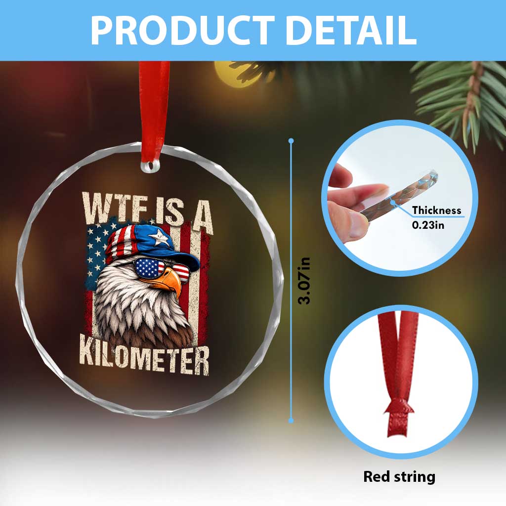 WTF Is A Kilometer Crystal Glass Ornament Bald Eagle 4th of July Funny USA Patriotic