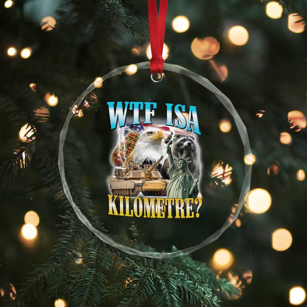 WTF is A Kilometer Crystal Glass Ornament Funny USA Patriotic Bootleg Meme
