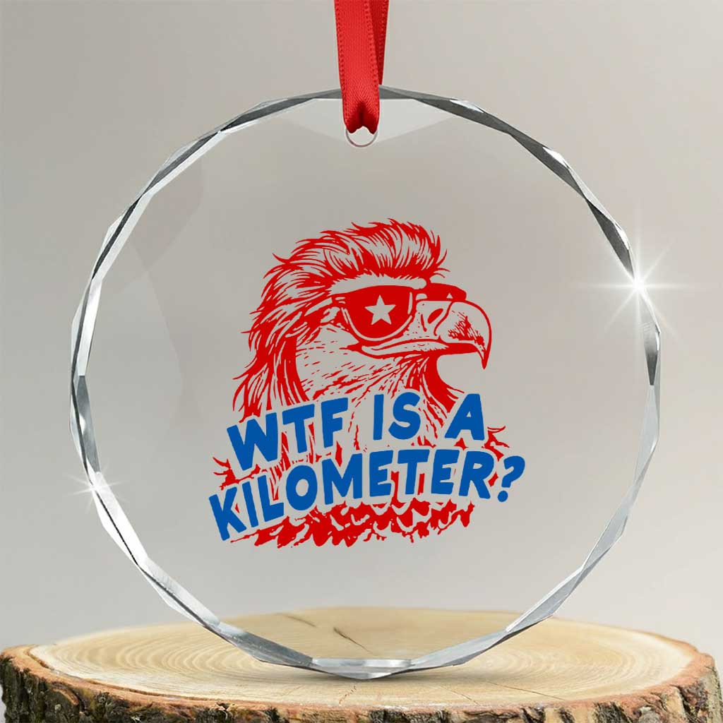 WTF Is A Kilometer Funny American Bald Eagle Crystal Glass Ornament Patriotic 4th of July Humor