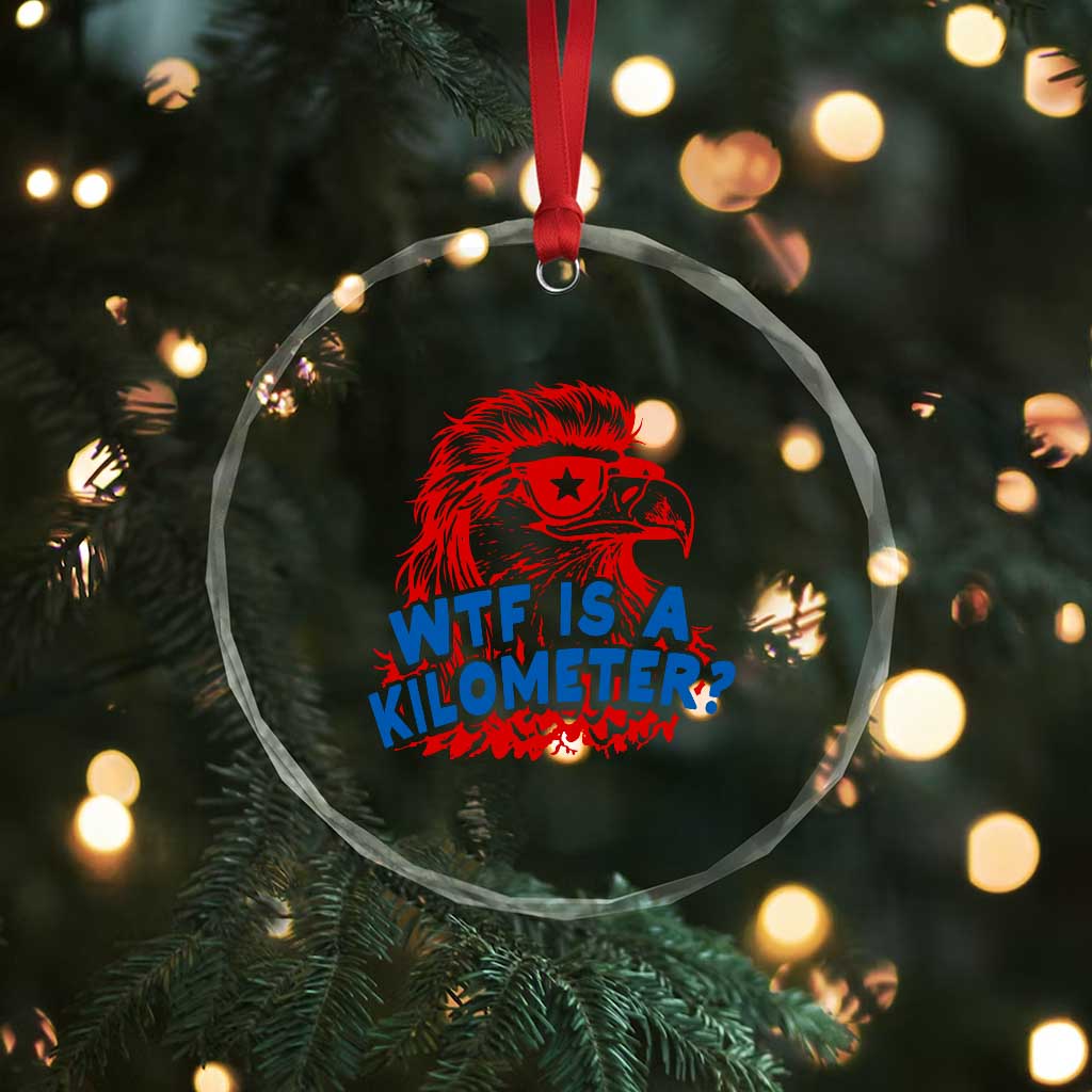 WTF Is A Kilometer Funny American Bald Eagle Crystal Glass Ornament Patriotic 4th of July Humor