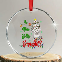 Xmas Cat Crystal Glass Ornament Is This Jolly Enough TS09