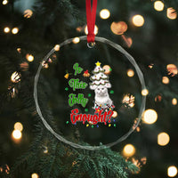 Xmas Cat Crystal Glass Ornament Is This Jolly Enough TS09