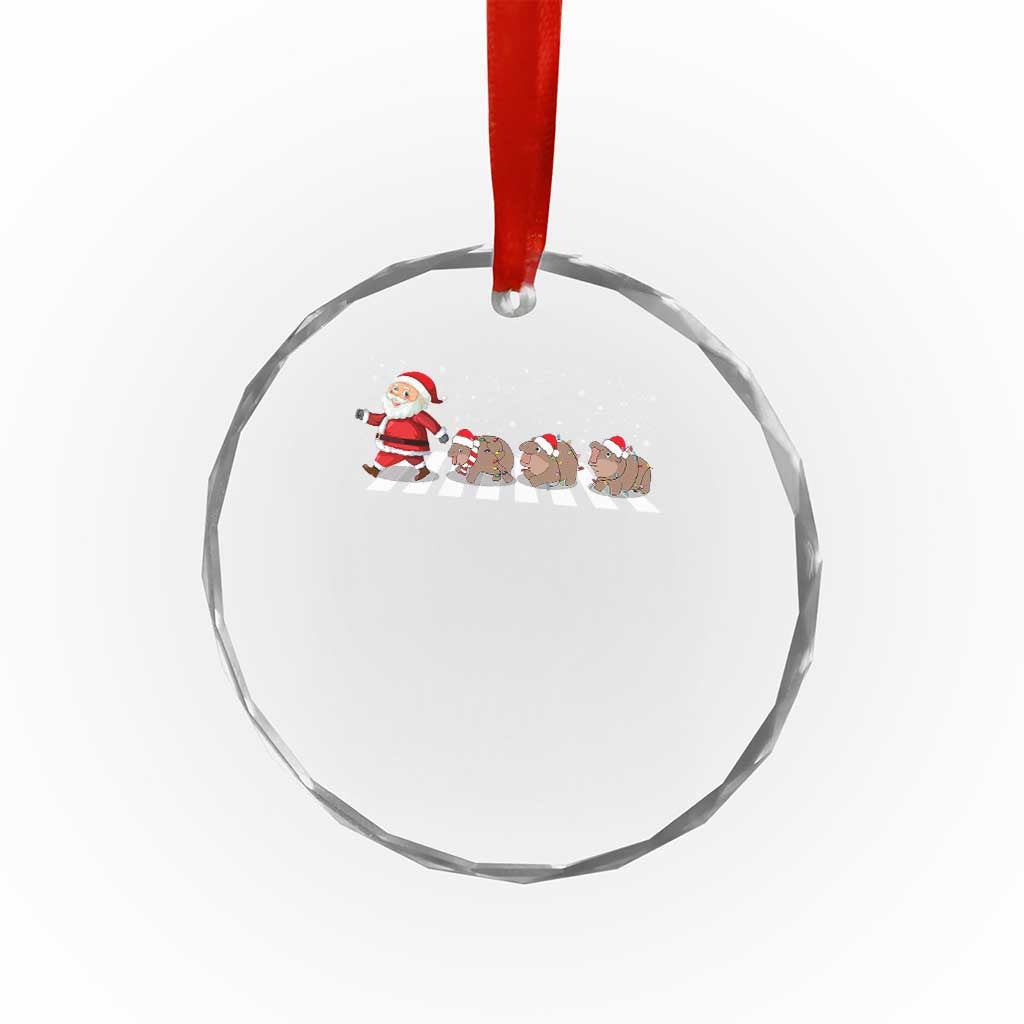 Xmas Moo Deng Crystal Glass Ornament Santa Baby Pygmy Hippo Trendy TS10