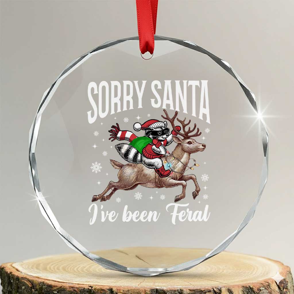 Xmas Raccoon Crystal Glass Ornament Sorry Santa I've Been Feral Funny Weird Xmas Gifts TS10