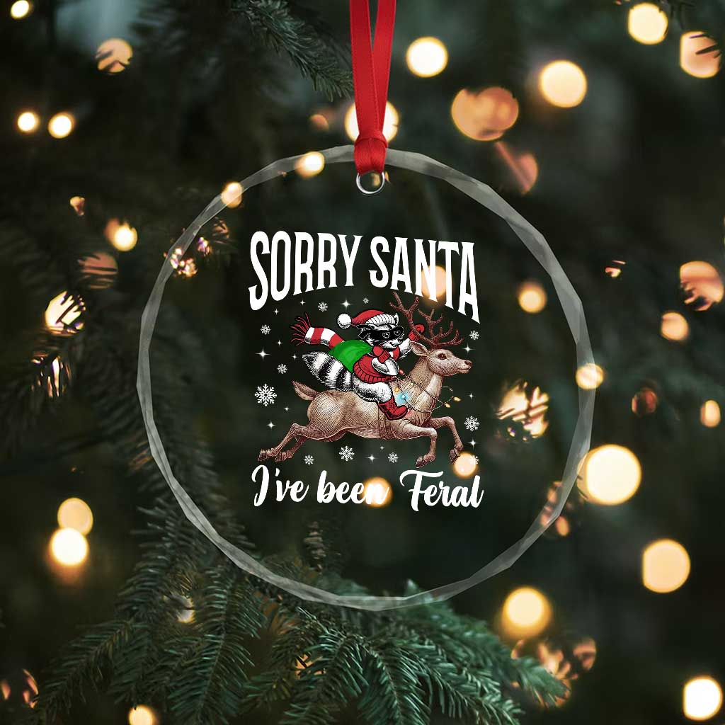 Xmas Raccoon Crystal Glass Ornament Sorry Santa I've Been Feral Funny Weird Xmas Gifts TS10