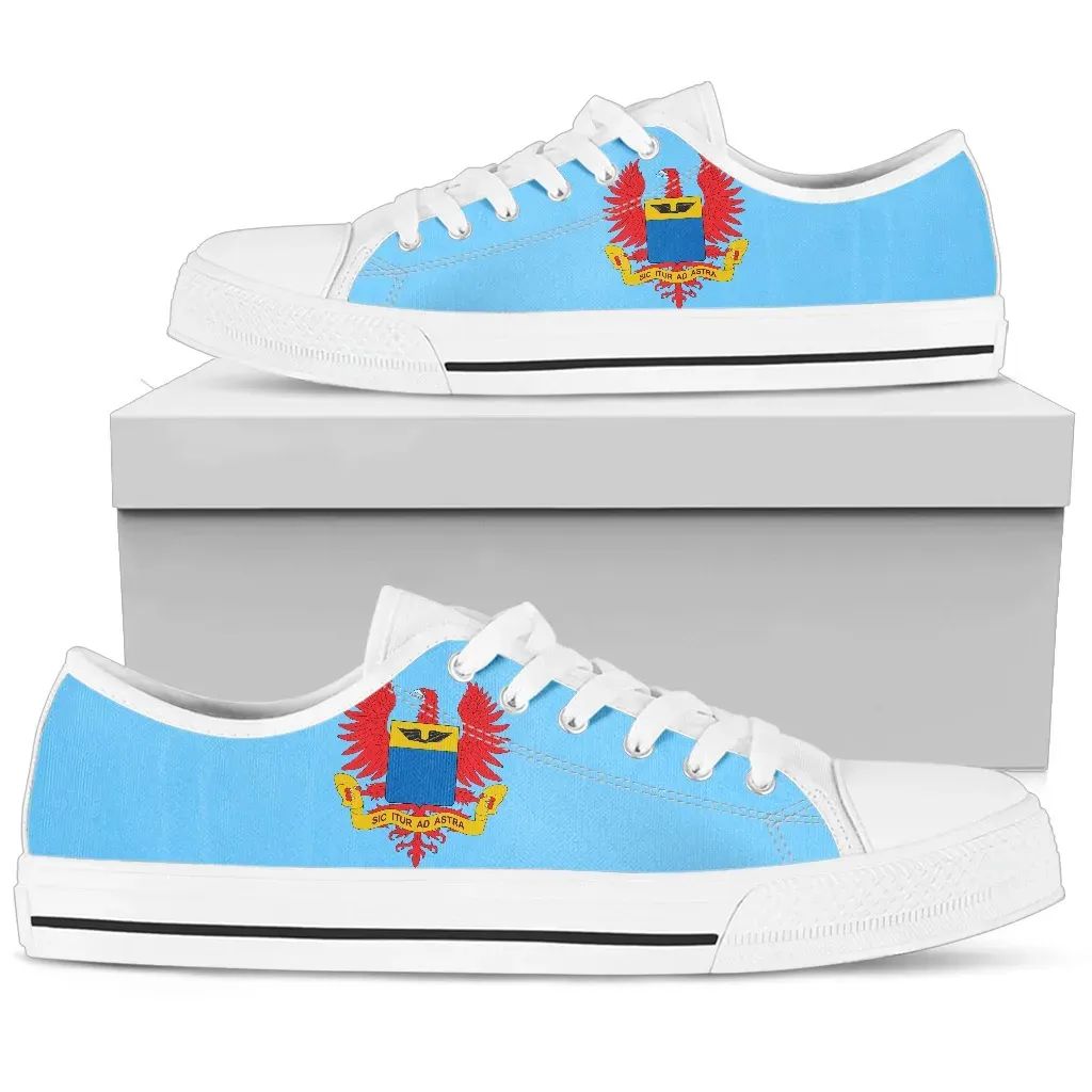 colombia-air-force-flag-menswomens-canvas-shoe