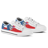 czech-republic-low-top-shoe-silver-double-tailed-rampant-lion